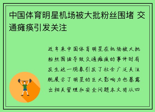 中国体育明星机场被大批粉丝围堵 交通瘫痪引发关注