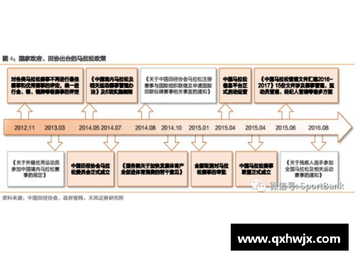 中国体育明星文化现象及其对社会影响的深度分析报告