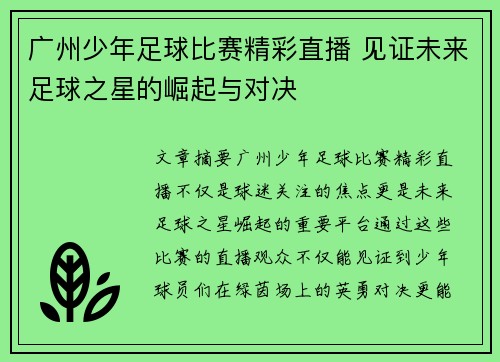 广州少年足球比赛精彩直播 见证未来足球之星的崛起与对决